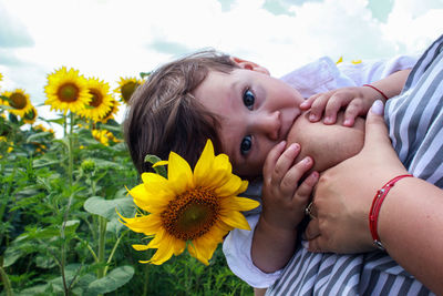 Portrait of cute girl lying on sunflower field