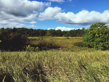 Scenic view of field against cloudy sky