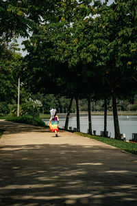 Rear view of man walking on street