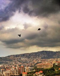 Airplane flying over city