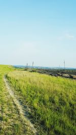 Scenic view of grassy field against blue sky