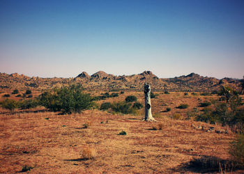 Rear view of woman walking on desert against clear sky