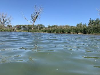 Scenic view of lake against clear sky