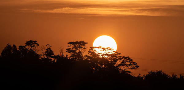 Low angle view of silhouette trees against romantic sky at sunset