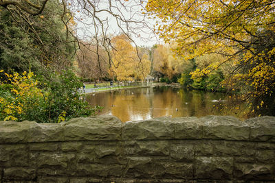 Scenic view of lake in forest during autumn