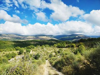 Scenic view of landscape against sky