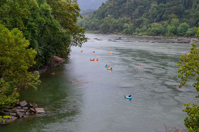 High angle view of people in river amidst trees in forest