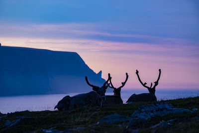 Rocks on shore against sky during sunset