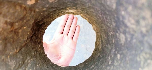 Close-up of person hand on tree trunk