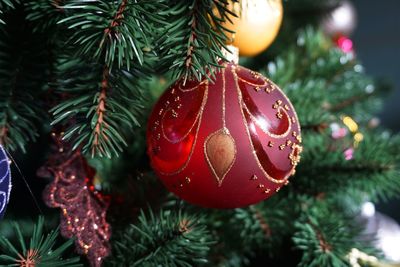 Close-up of christmas decorations hanging on tree