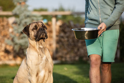 Midsection of man with dog