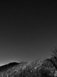 Scenic view of star field against clear sky at night