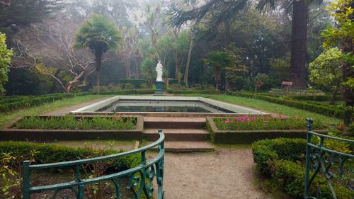 Formal garden with statue in background