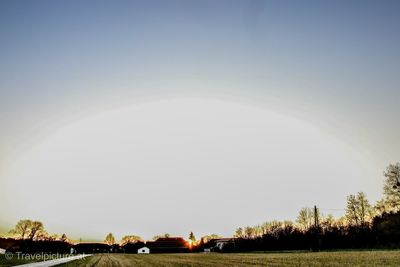 Scenic view of field against clear sky