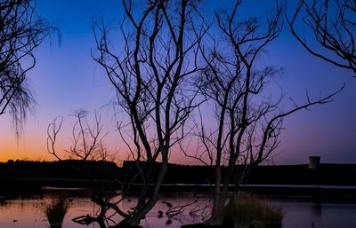 Silhouette bare tree by lake against sky during sunset