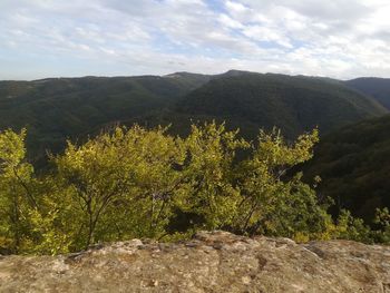 Scenic view of tree mountains against sky