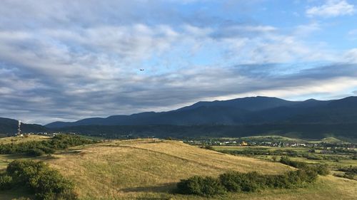 Scenic view of agricultural field against sky