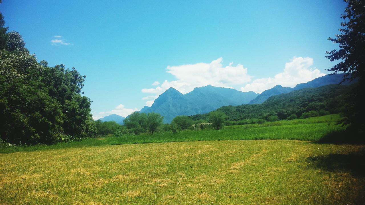 mountain, tranquil scene, tranquility, landscape, sky, tree, scenics, beauty in nature, nature, mountain range, grass, green color, blue, growth, field, non-urban scene, cloud, idyllic, countryside, cloud - sky