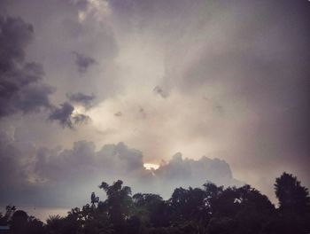 Low angle view of trees against sky