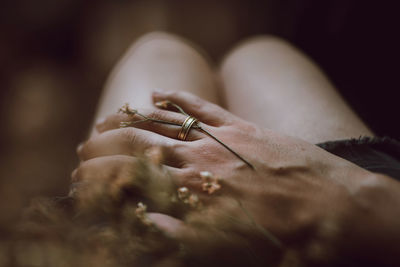 Close-up of hand holding leaf