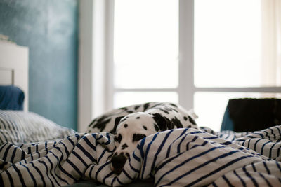 Midsection of woman resting on bed at home