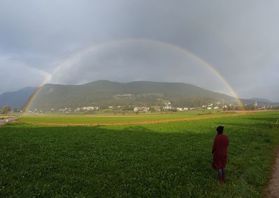 Scenic view of rainbow over agricultural field