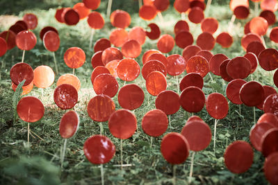 Full frame shot of colorful balloons