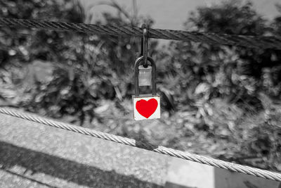 Close-up of love padlocks hanging on tree against sky