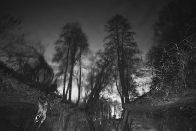 Trees on landscape against sky