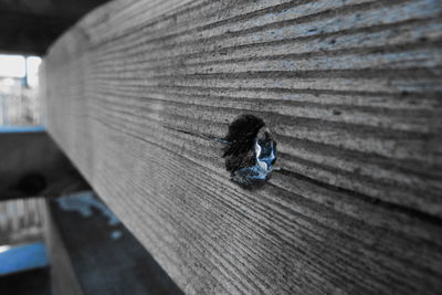 High angle view of man on wood