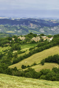 Scenic view of agricultural field against sky