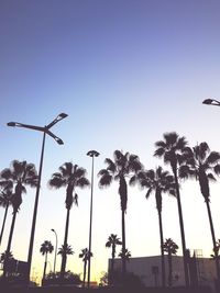 Low angle view of silhouette palm trees against clear sky