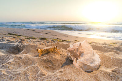 Scenic view of beach against sky during sunset