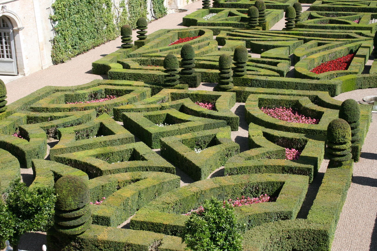 green color, growth, high angle view, formal garden, plant, day, outdoors, no people, nature, ivy