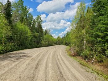 Road amidst trees against sky