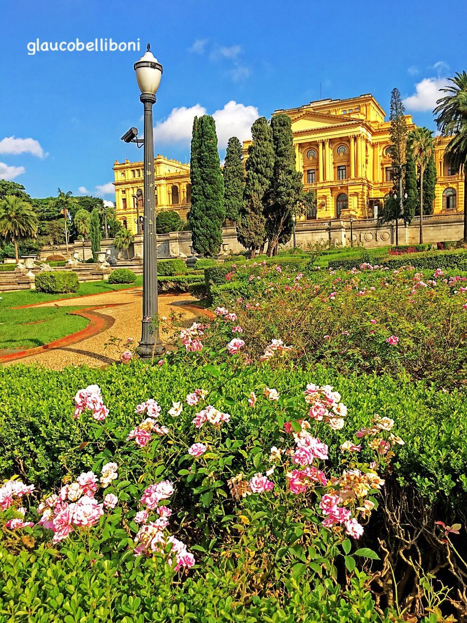 flower, building exterior, built structure, freshness, grass, architecture, tree, growth, fragility, lawn, sky, plant, blooming, nature, beauty in nature, park - man made space, religion, formal garden, field, garden