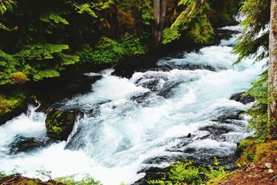 Stream flowing through rocks in forest