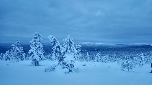 Schneelandschaft in lappland