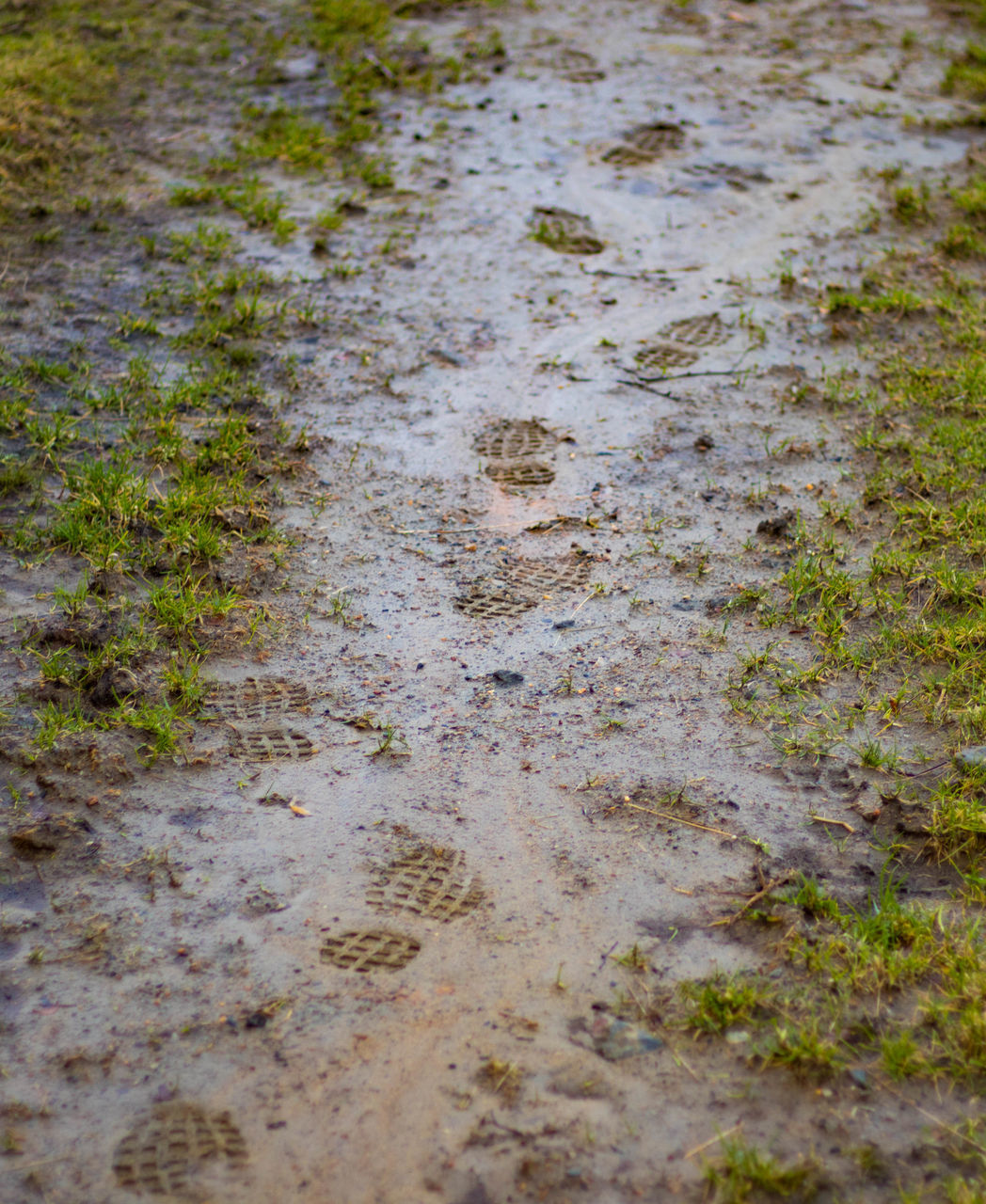 CLOSE-UP OF PUDDLE