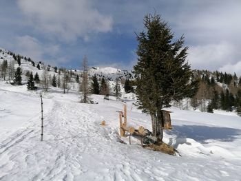 Trees on snow covered field against sky