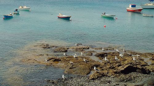 High angle view of boats in sea