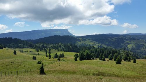 Scenic view of field against sky