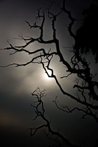 Low angle view of silhouette bare tree against sky at sunset