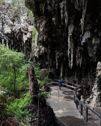 People walking on rock by trees