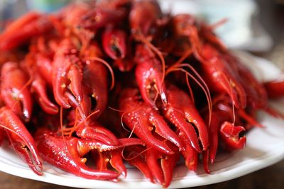 Close-up of cooked crayfish in plate