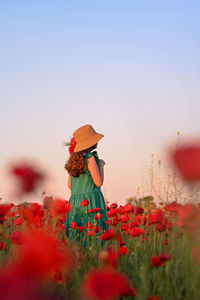 Woman standing amidst flowering plants on field against clear sky