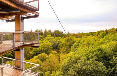 Scenic view of forest against sky