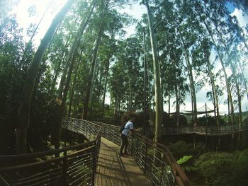 Rear view of woman walking on footbridge in forest