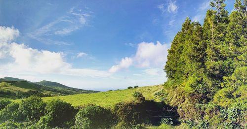 Panoramic view of landscape against sky