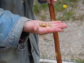 Close-up of cropped hand